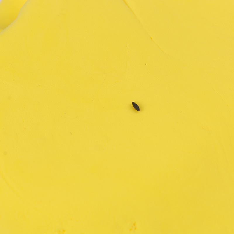 500g Super Leichter Weltraumknete-Set für DIY-Bastelarbeiten - Enthält Werkzeuge & farbige Knete für Kinder