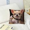 Cute Dog Funny Meme   Pillow Cushion Cover Pillowcase Living Room Sofa Home Decor Customized