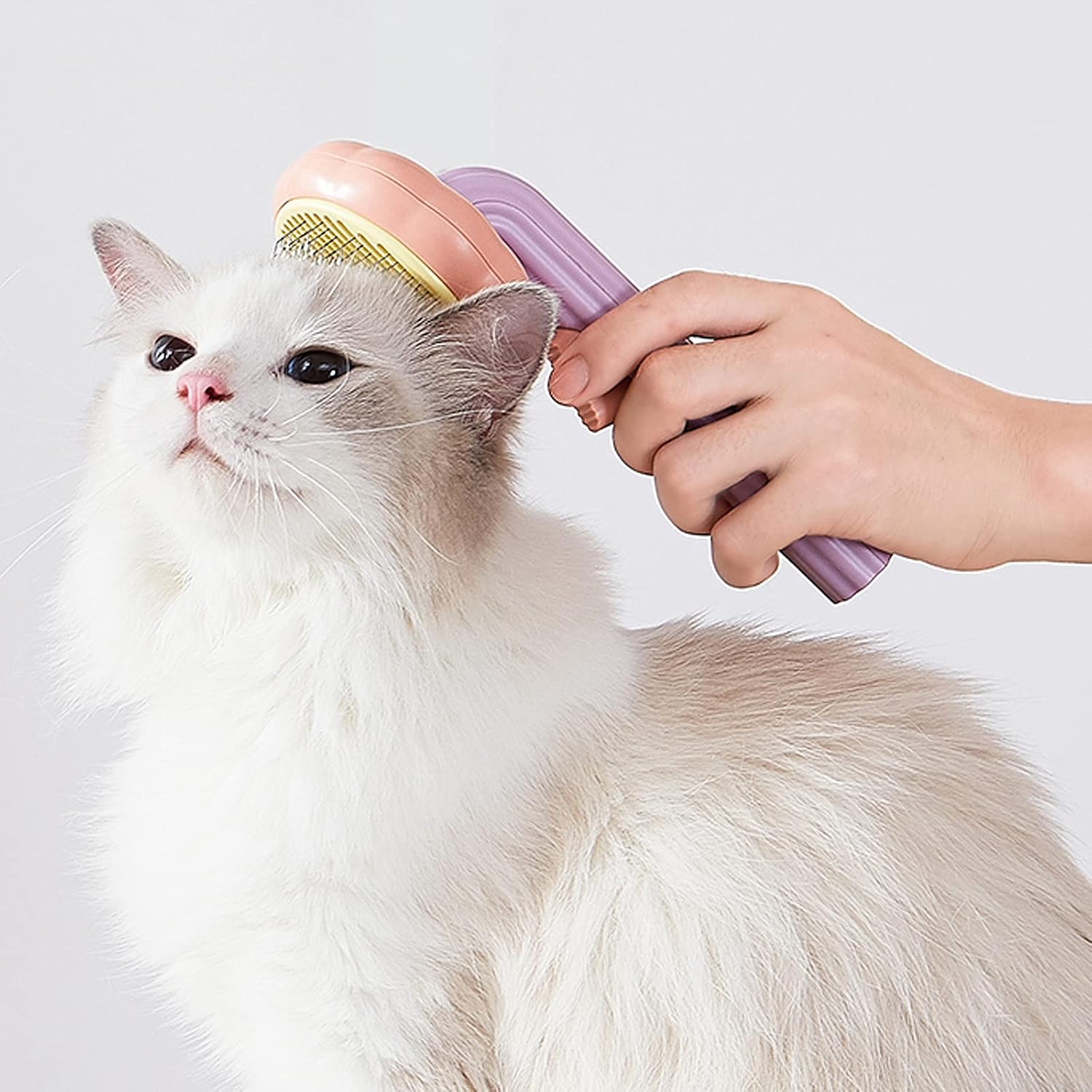 Cat Grooming Brush Dog Brush for Shedding Pet Pin Brushes for Long and Short Hair Self Cleaning Slicker Brush Gently Removes Loose Undercoat for Cats