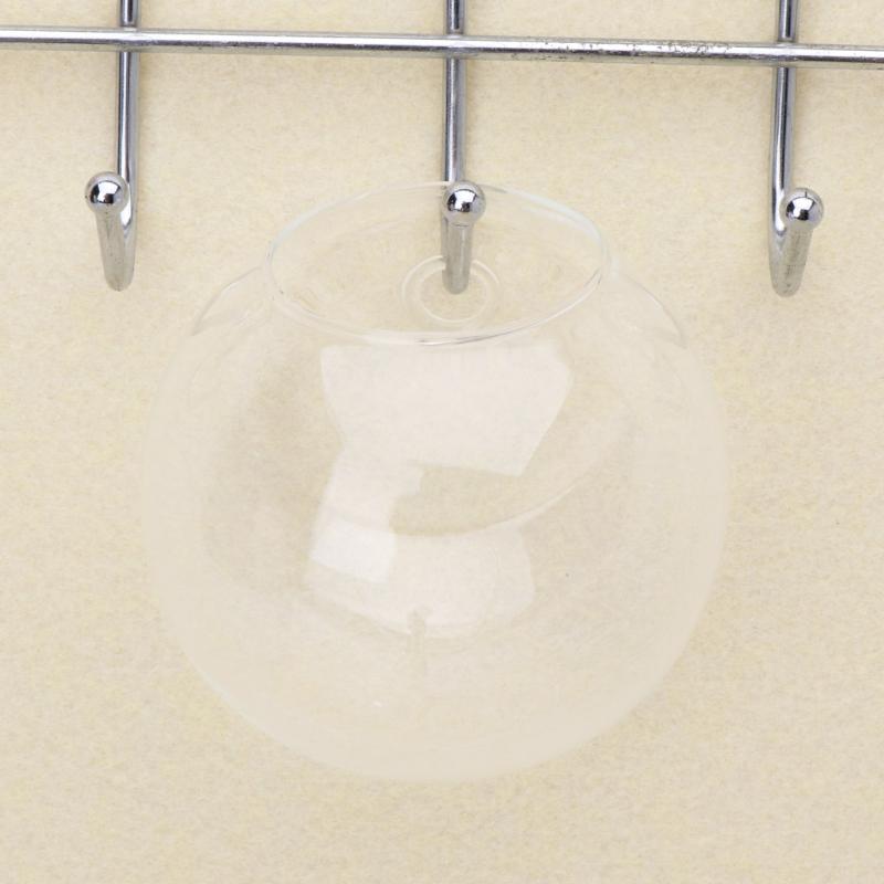 Glass Vase Wall Hanging Hydroponic Terrarium Fish Tanks Potted Plant Flower Pot