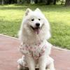 Fruit Print Pet Princess Dresses Flutter Sleeve Dog Summer Vest Cute Pet Pullover  Spring Summer
