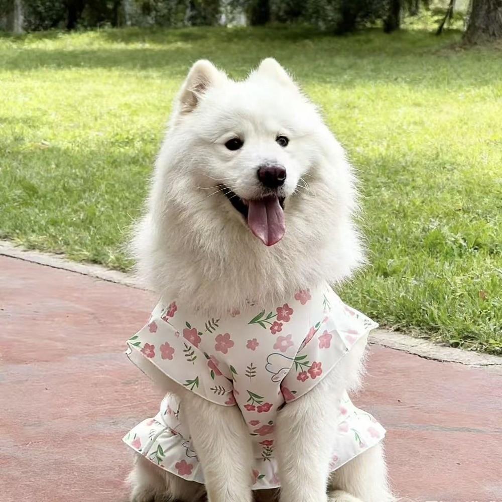 Fruit Print Pet Princess Dresses Flutter Sleeve Dog Summer Vest Cute Pet Pullover Spring Summer