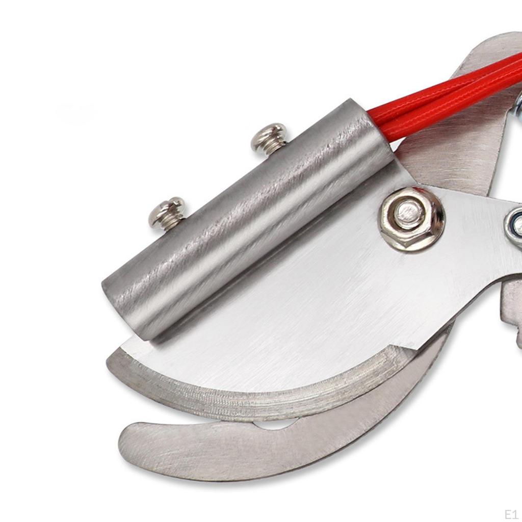 Tail Cutting Pliers Livestock Equipment Easy to Use Piglet Docking Tool