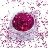 Customized Sizes Holographic Extra Fine Polyester Glitter Powder for Nail Art & Crafts Tumblers