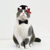 With Tassel Cat Graduation Cap Felt Dog Degree Hat Puppy Cap Dog Dr. Hat  Photograph