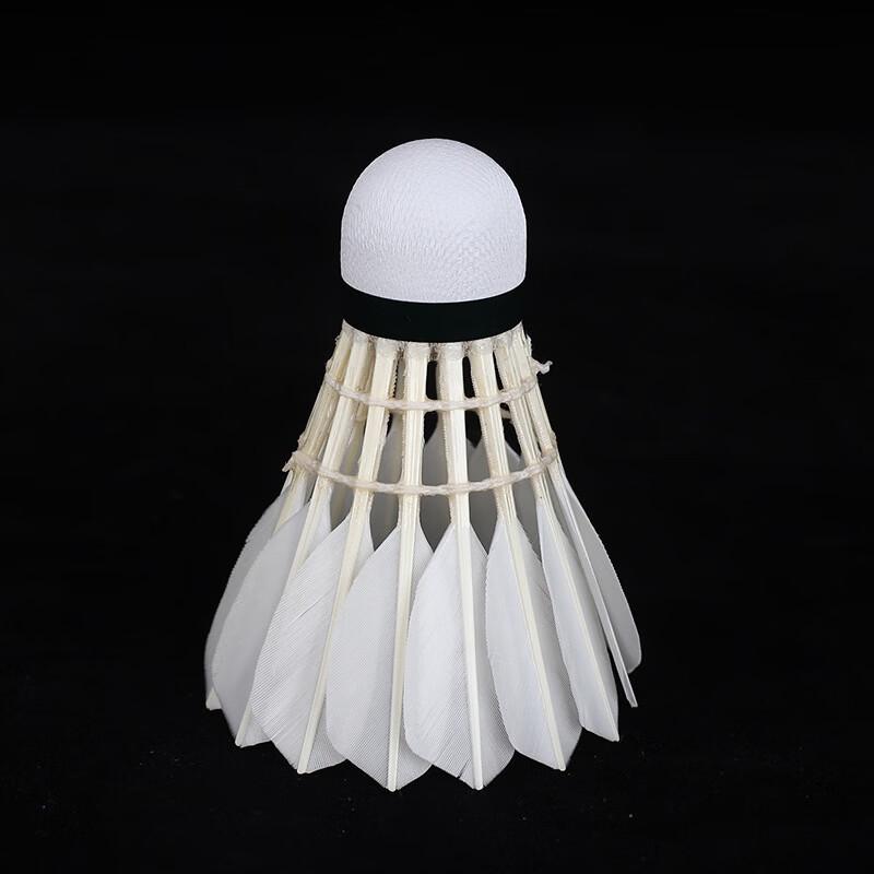 Badminton Shuttlecocks