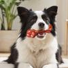 Pet Chew Toy Realistic Simulated Bone Design Dogs Molar Teeth Cleaning Toy Bite-resistant Food-Grade PP Material Pet Toy