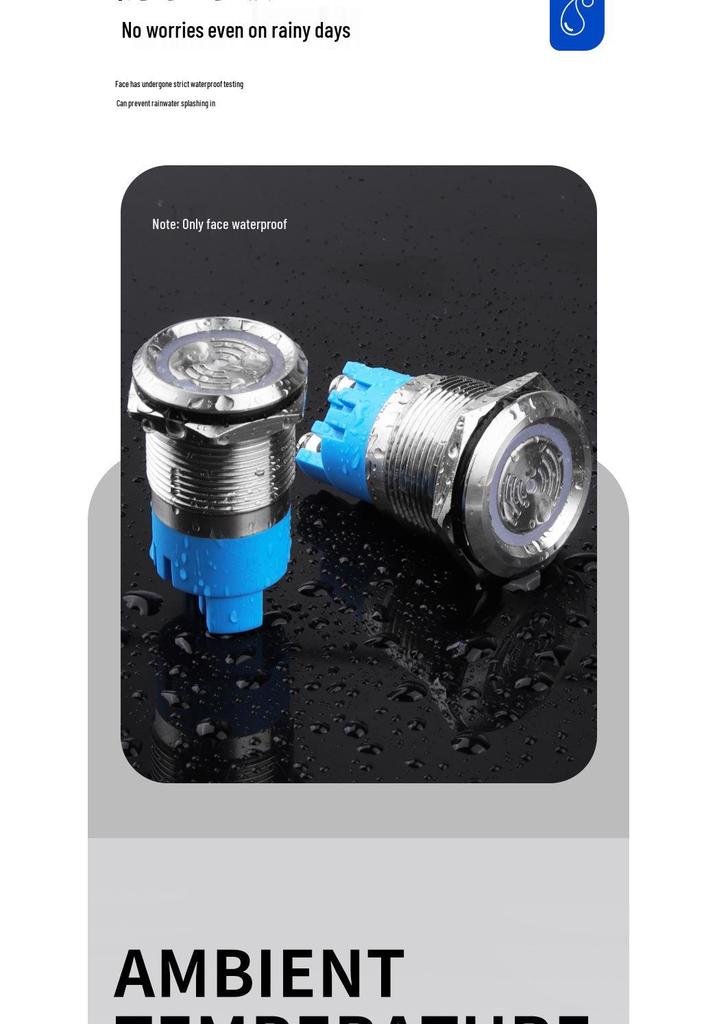 19mm/22mm Stainless Steel LED Flashing Buzzer, Intermittent Sound, 12V/24V