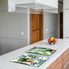 2x GLASS PROTECTIVE PLATE FOR STOVE 40x52 CACTUS