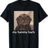 My Tummy Hurts Funny Cat Meme T-Shirt
