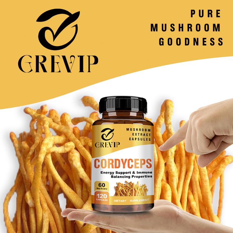 Cordyceps-Extrakt Pilzkapseln, hohe Konzentration an Cordyceps-Essenz, sanft und leicht absorbierbar, für Erwachsene geeignet.