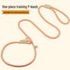 Universal Buckle Dog Leash for Medium & Large Dogs - P Chain Collar