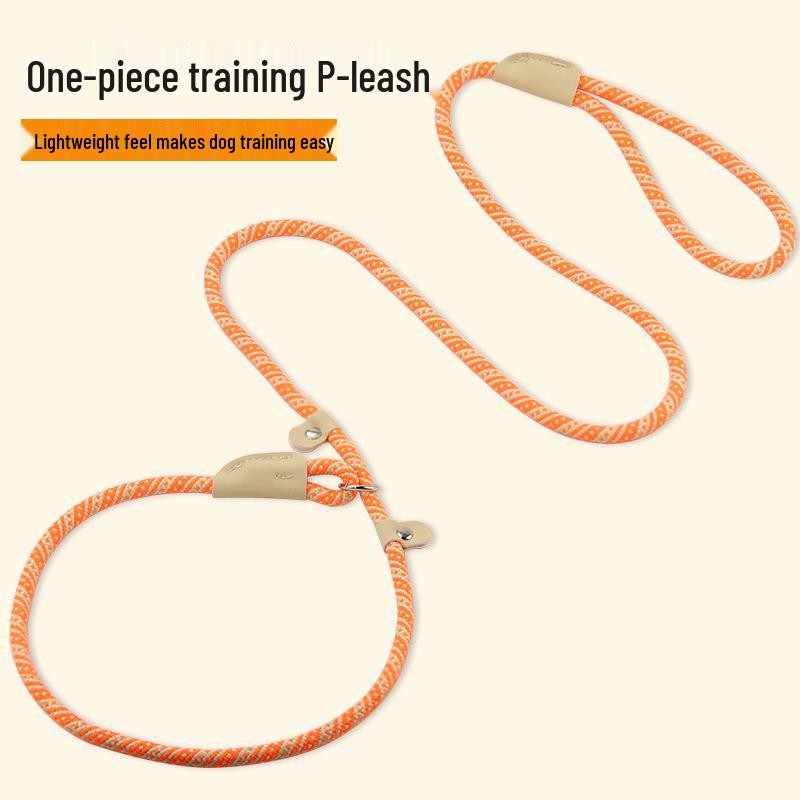 Universal Buckle Dog Leash for Medium & Large Dogs - P Chain Collar