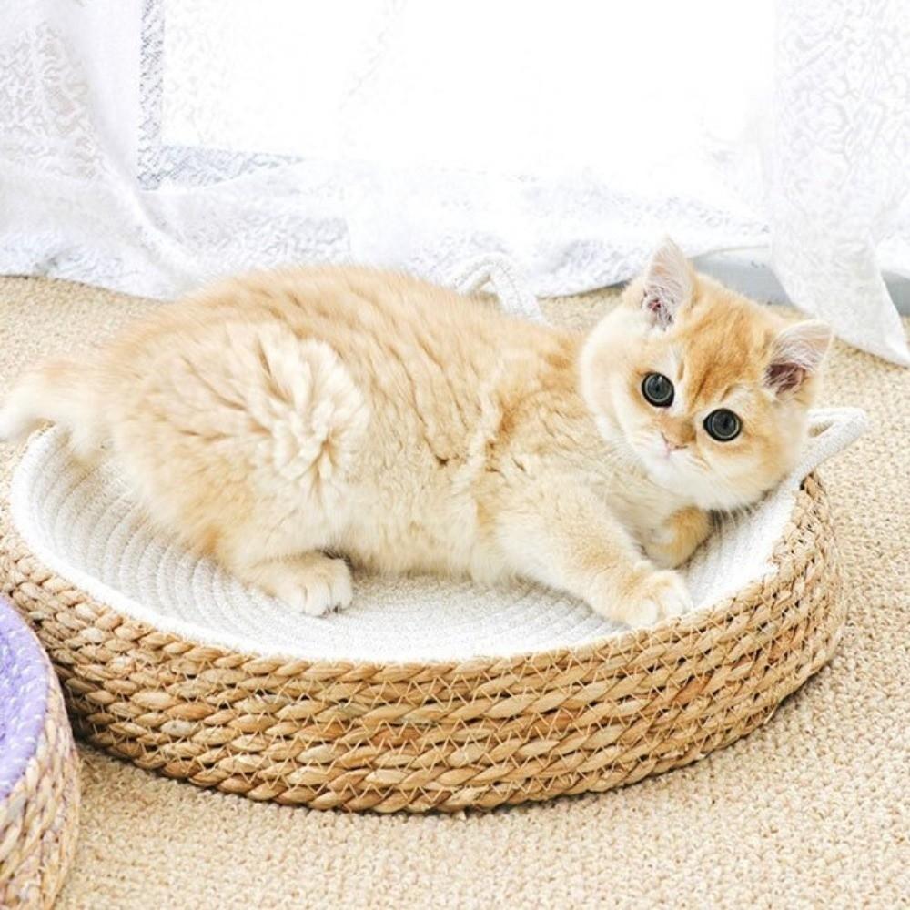 Round Cat Scratching Board Wear-Resistant Pet Sofa Bed Comfortable Dog Sleeping Bed  Paws Care