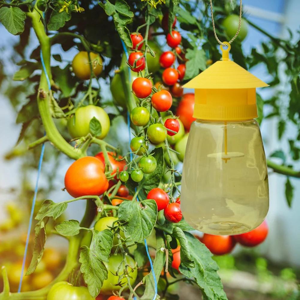 Plastic Fruit Fly Trap Killer Pest Control Fly Bee Trap Drosophila Trap Anti Fly Fruit Fly Killer Catcher Orchard Insect Traps