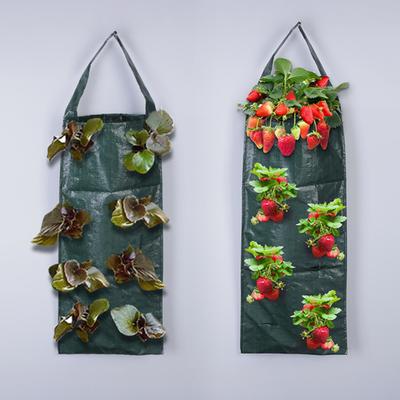 Sacco per la coltivazione di pomodori capovolto, appeso, per piantare fragole, per casa, giardino, balcone, giardinaggio verticale facile.