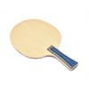 Table Tennis Blade Physical Education Anatomic Bat