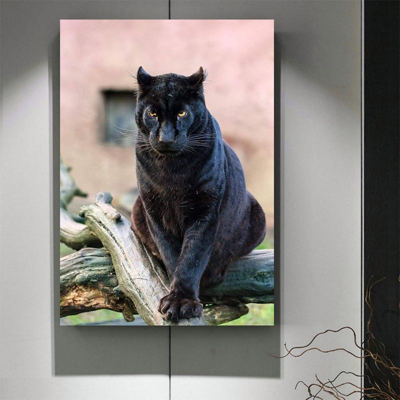 Cool Black Panther Wild Animal Staring Canvas Painting Wall Art Wild Cats Jaguar Pictures Posters for Living Room Decoration