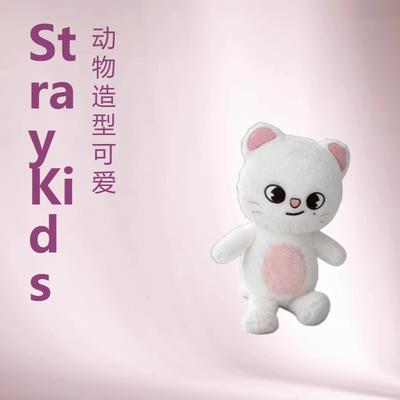 Straykids Huang Xuanchen FM Fan JINRET BANGCHAN HAN Puppe BBOKARI