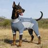Pet Cool Clothes Dog Clothes Summer Thin Vest Pet Teddy Small Medium and Large Dog Quick Drying Clothes Dog T