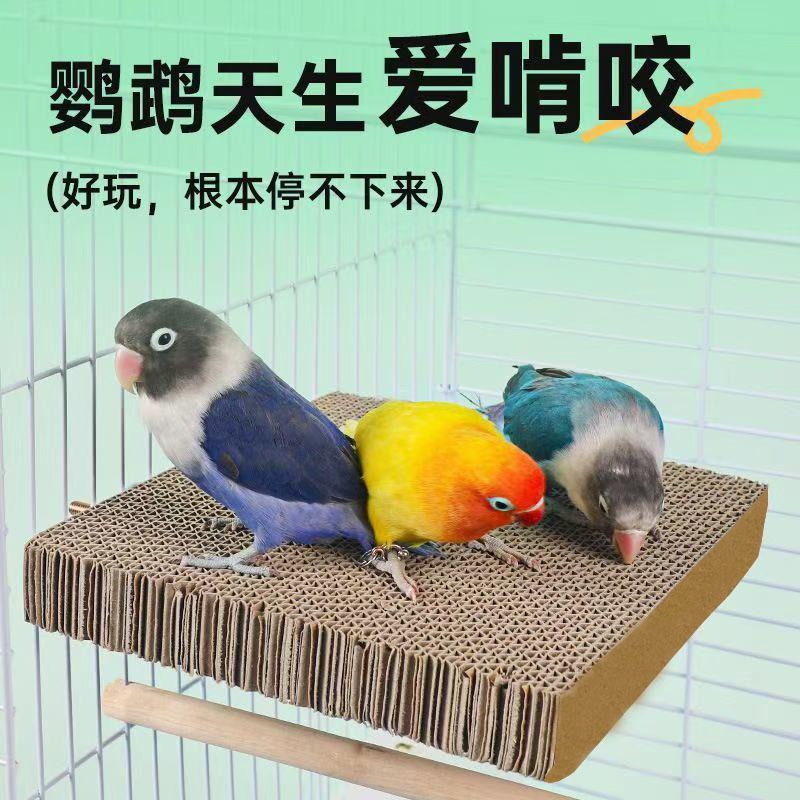 Chewing Board, Grinding Toy for Birds, Pet Accessory