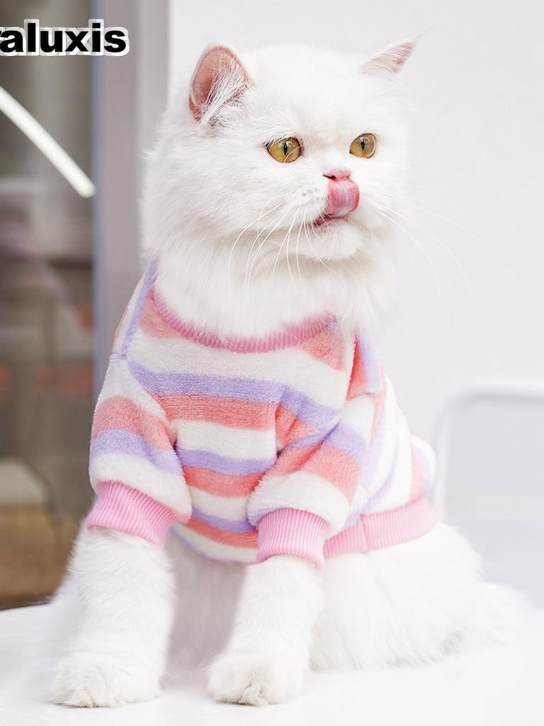 Pet Winter Warm Embroidery Clothes for Dogs and Cats -