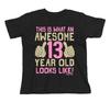 Girls Teenager 13th Birthday T-Shirt AWESOME 13 Year Old Teen Gift