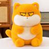 Cute Drag Cat Doll Spoof Kitten Doll Plush Toy with Sleeping Throw Pillow Men and Women Birthday Gift