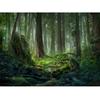 Forest Wallpaper Nature Landscape Green Forest Mural Bedroom Living Room Wall Mural Home Decor