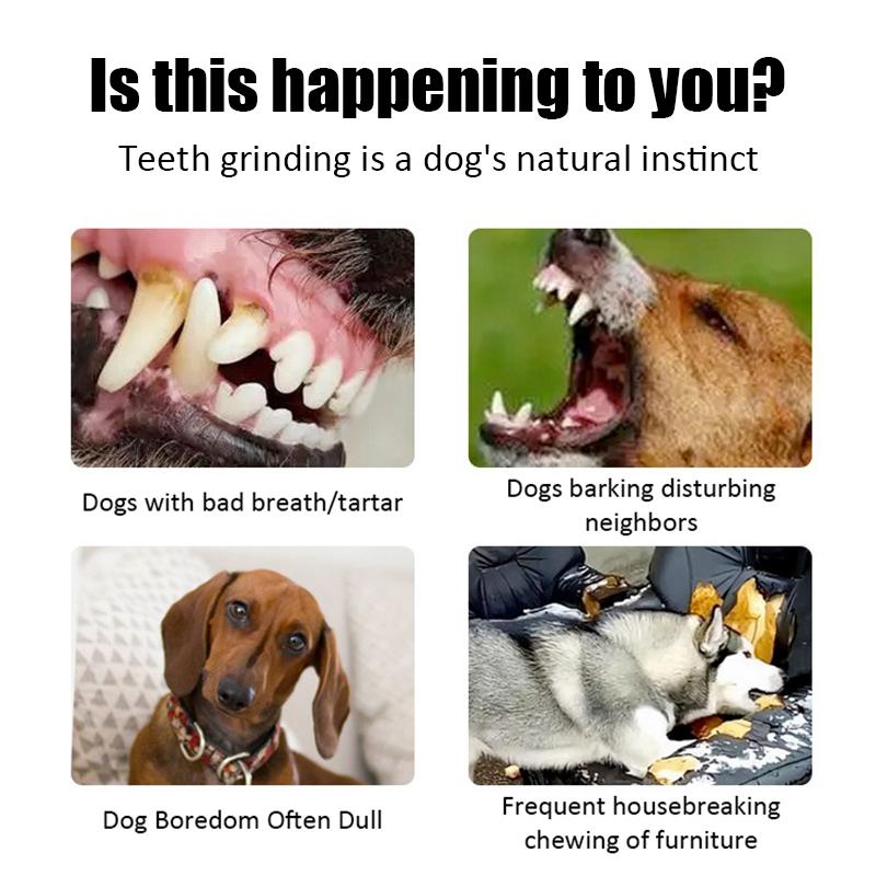 Halloween Pet Toys Color Changing Pumpkin Rubber Material Is Tough Tear Resistant Dog Interactive Training Toys Pet Supplies