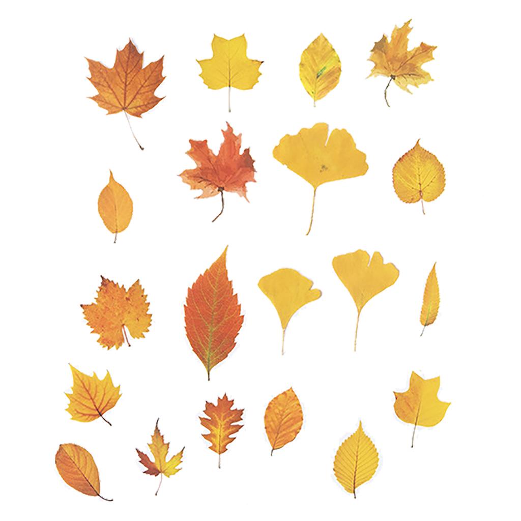 Leaf Scrapbook Stickers Decorative PET Fall Leaves Scrapbooking Decals for Journaling Photo Album 40pcs
