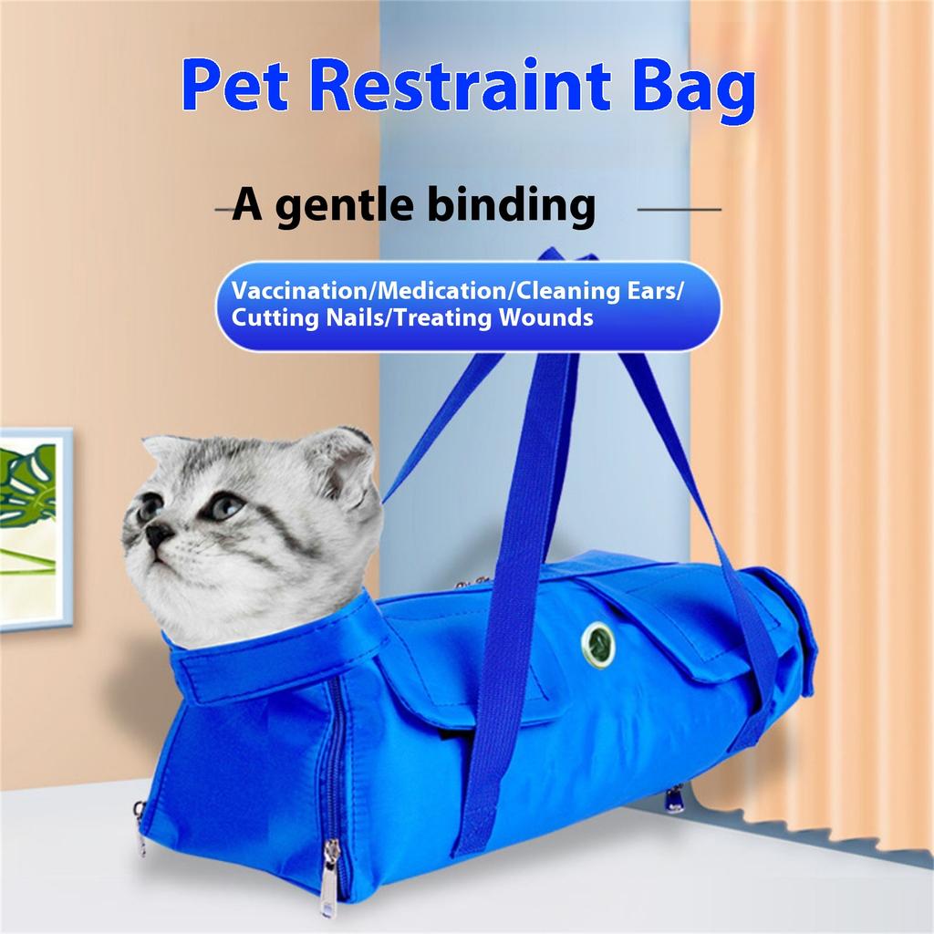 Foldable Pet Carrier Backpack Lightweight Nylon Material Breathable Mesh Portable Design For Cats And Small Dogs
