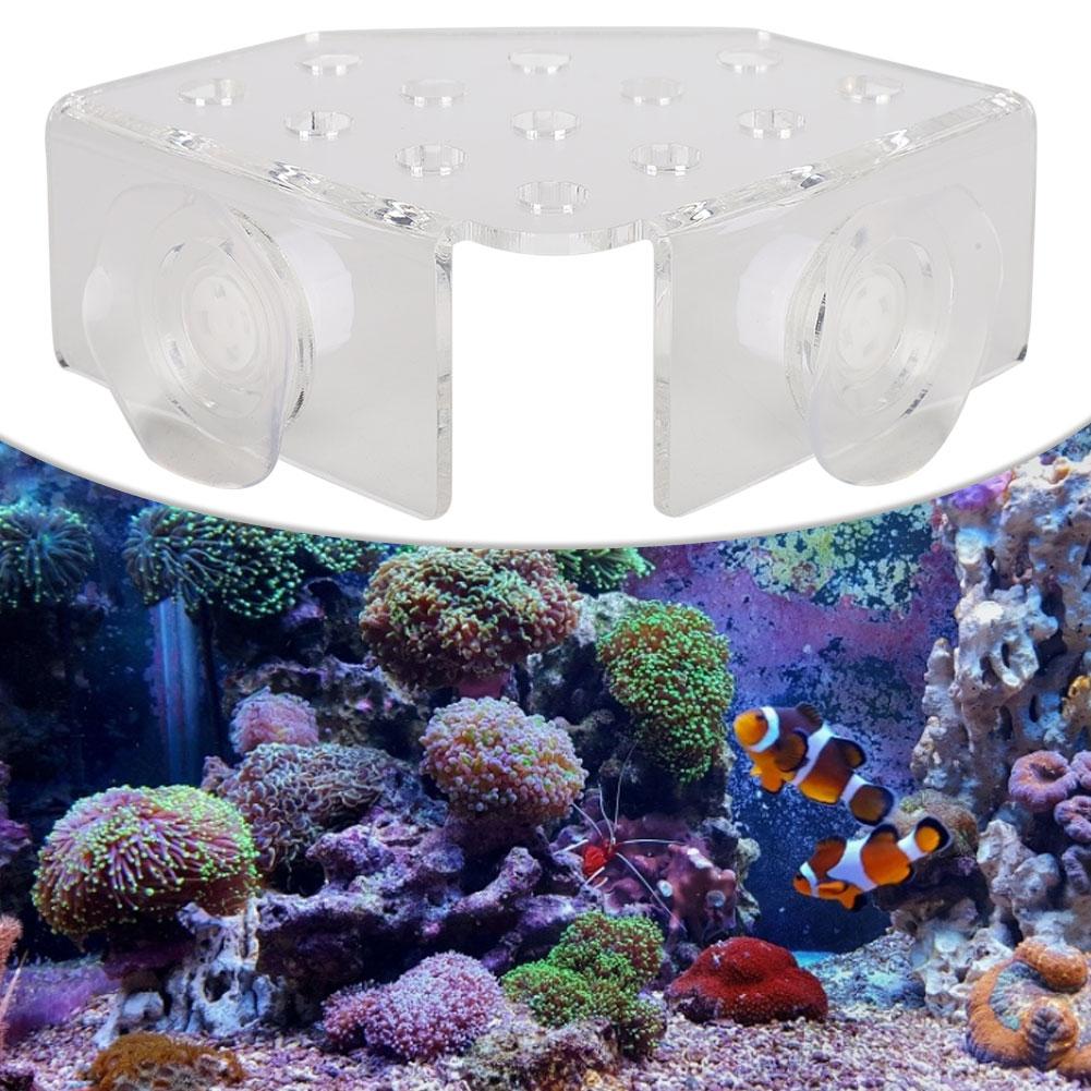13 Hole Aquarium Fish   Coral Rack Bracket Acrylic Coral Frag Rack Bracket
