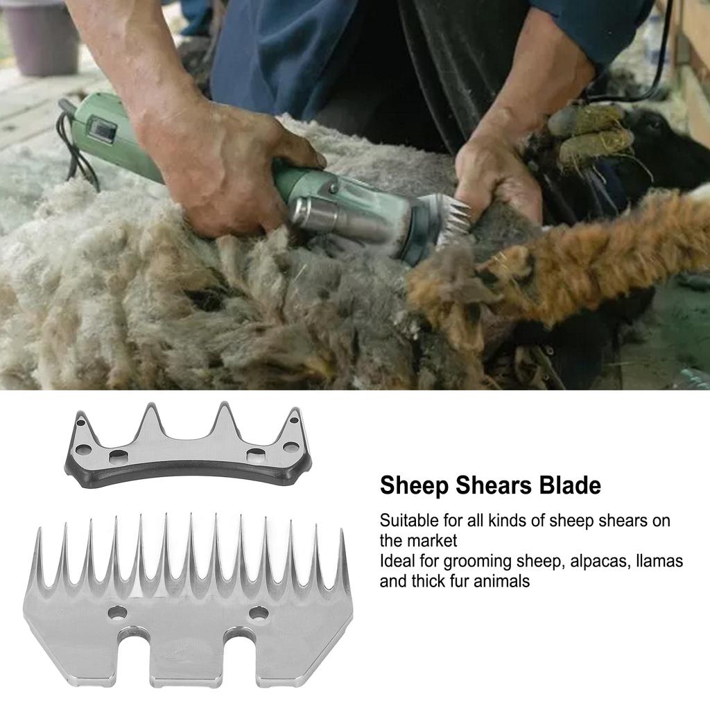 Goat Clipper Scissor Blade Non Hurt Denser Gap Sheep Shears Blade Straight 13 Tooth High Hardness for Thick  Animals