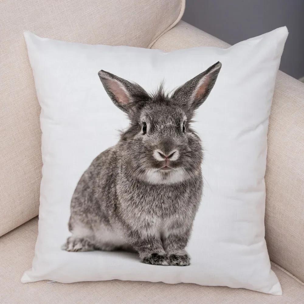 Home Sofa Kids Room Decor Cute Pet Animal Print Cushion Cover Pillowcase  Rabbit