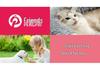 Breathable Outdoor Pet Backpack for Dogs and Cats