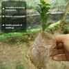 100pcs Biodegradable Seed Nursery Bags Non-Woven Plants Grow Bags Fabric Seedling Pots Plants Pouch Home Garden Supply