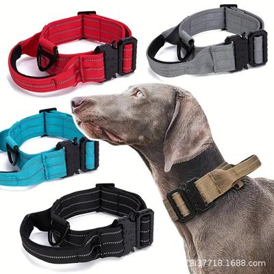Cães – Colares e correias para cães