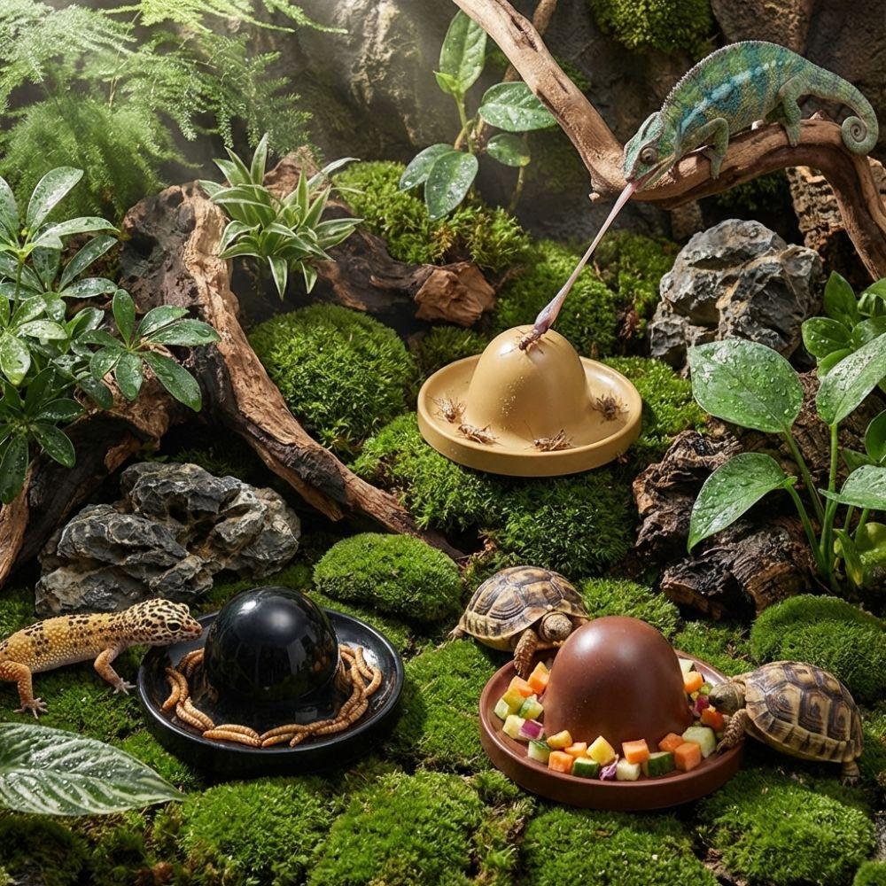 Plastic Reptile Feeder Bowl Round Reptile Water Pot Easy-Clean Feeder Ledge  for Amphibians