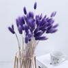 Rabbit Tail Grass Dried Flower Bouquet Home Decoration Flower Arrangement Dog Tail Grass Dried Flower Rabbit Tail Grass