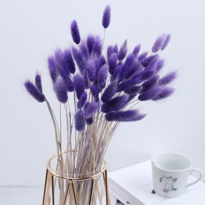 Rabbit Tail Grass Dried Flower Bouquet Home Decoration Flower Arrangement Dog Tail Grass Dried Flower Rabbit Tail Grass