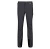 Regatta Mountain III Pants