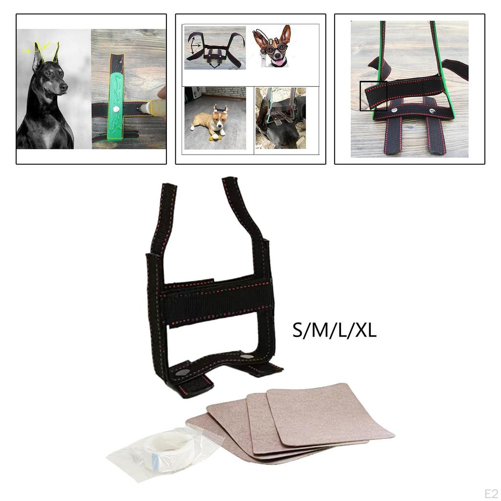Levantador de Orelhas para Cães com Orelhas em Pé, Cuidado com Fita, Adesivos Retos Ajustáveis Animais de Estimação