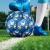 Octonauts Theme Size 5 Soccer Ball, Suitable for Both Indoor and Outdoor Matches, a Gift Suitable for Everyone.