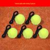 LISM Training Tennis Ball with Rope