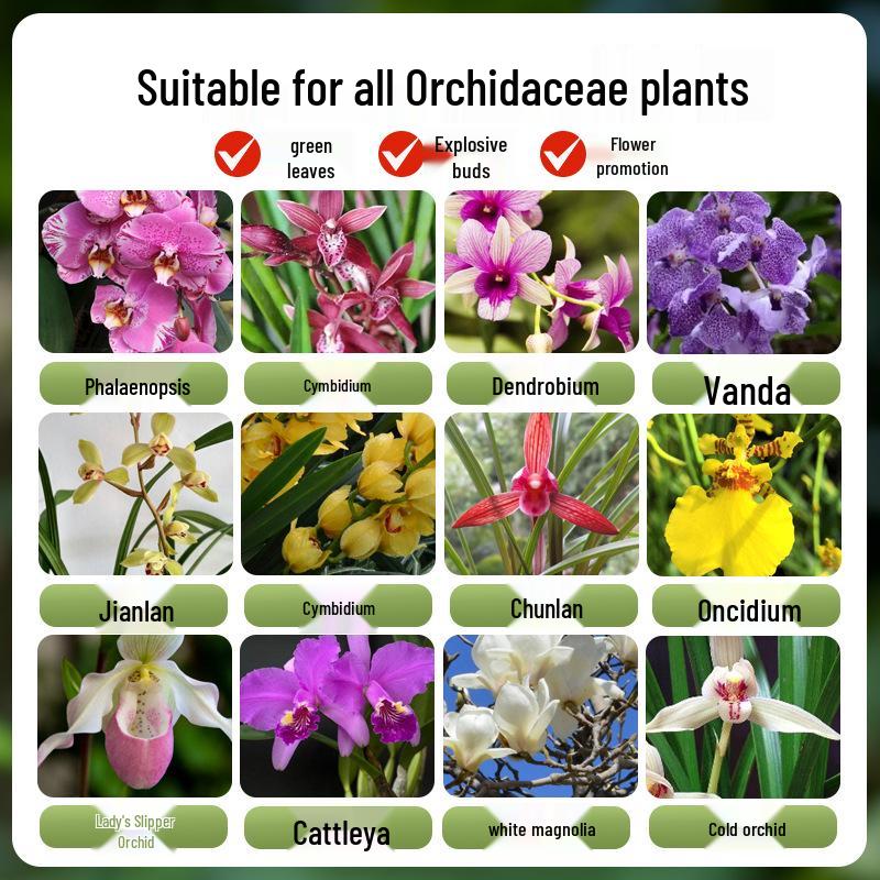 Orchid Multi-Stem King Nutrient Solution for Phalaenopsis & Black Orchids