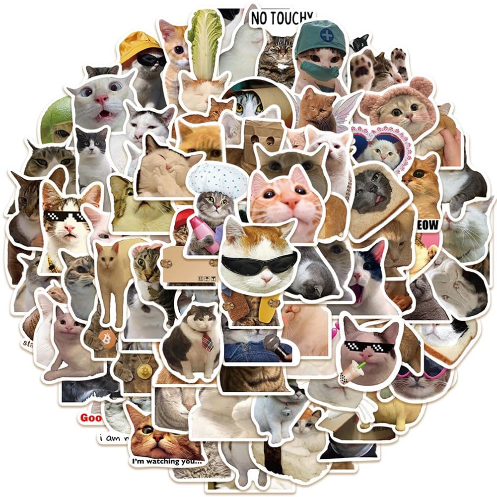 Cat Sticker Waterproof Cat Sticker Kitty Brand Stickers for and More Set, 100-Piece Pack, Suitcases, Cars, Motorcycles, Helmets, Skateboards, Guitars,