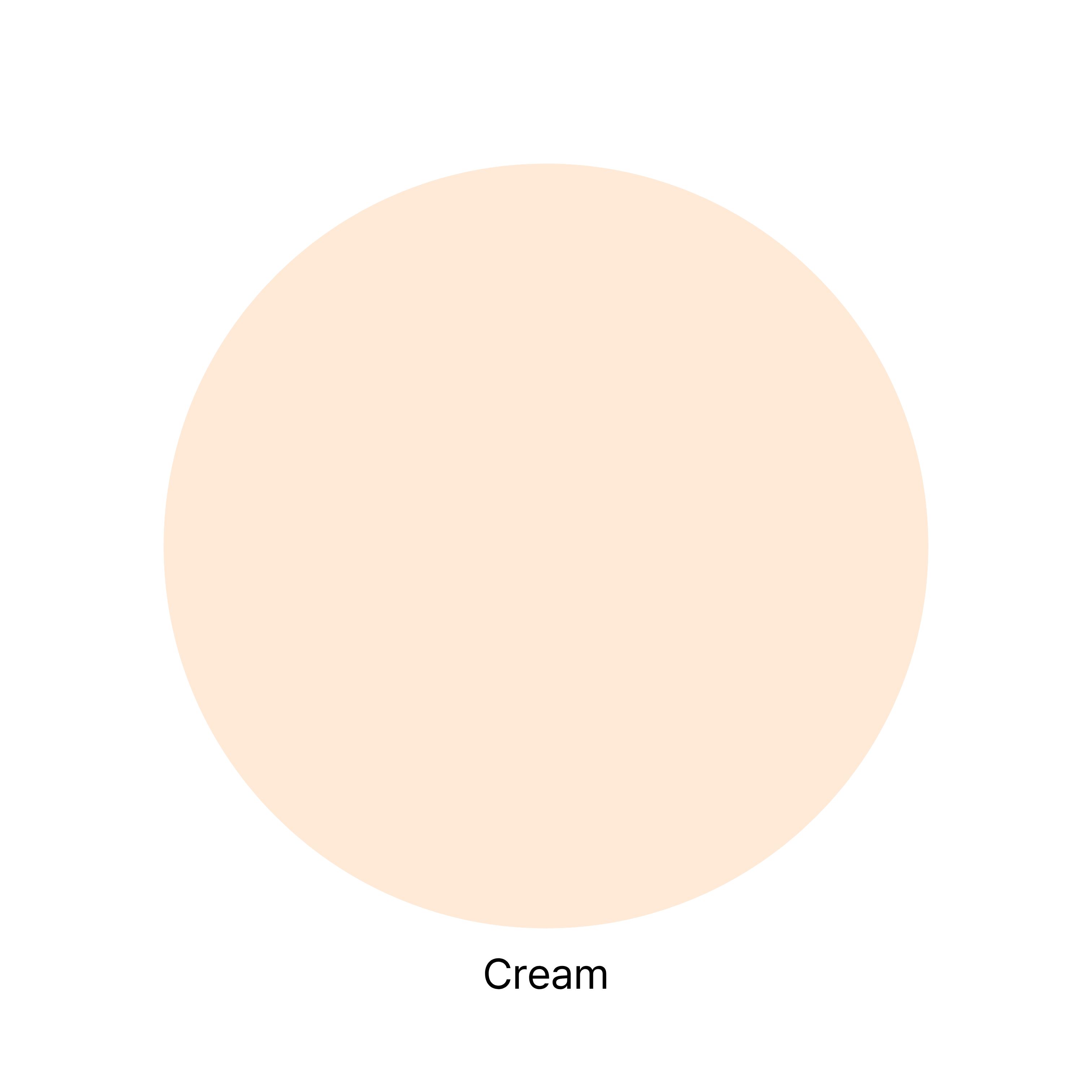 JUNGSAEMMOOL Essential Skin Nuder Cushion (14g + 14g Refill) Cream