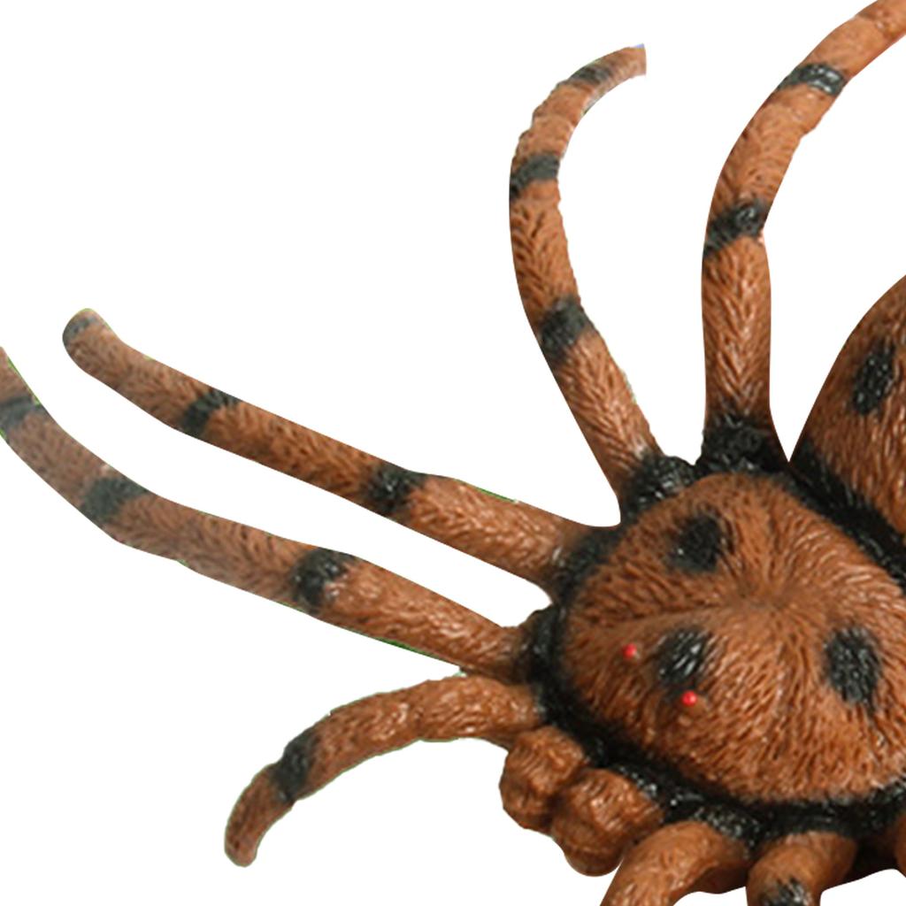 Spider Model Lifelike Exquisite Simulated Large Spider Toy for Teaching Entertainment Brown