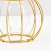 3D Geometric Tabletop Flower Vase, Terrarium Air Holder Glass Display Er Table Centerpiece